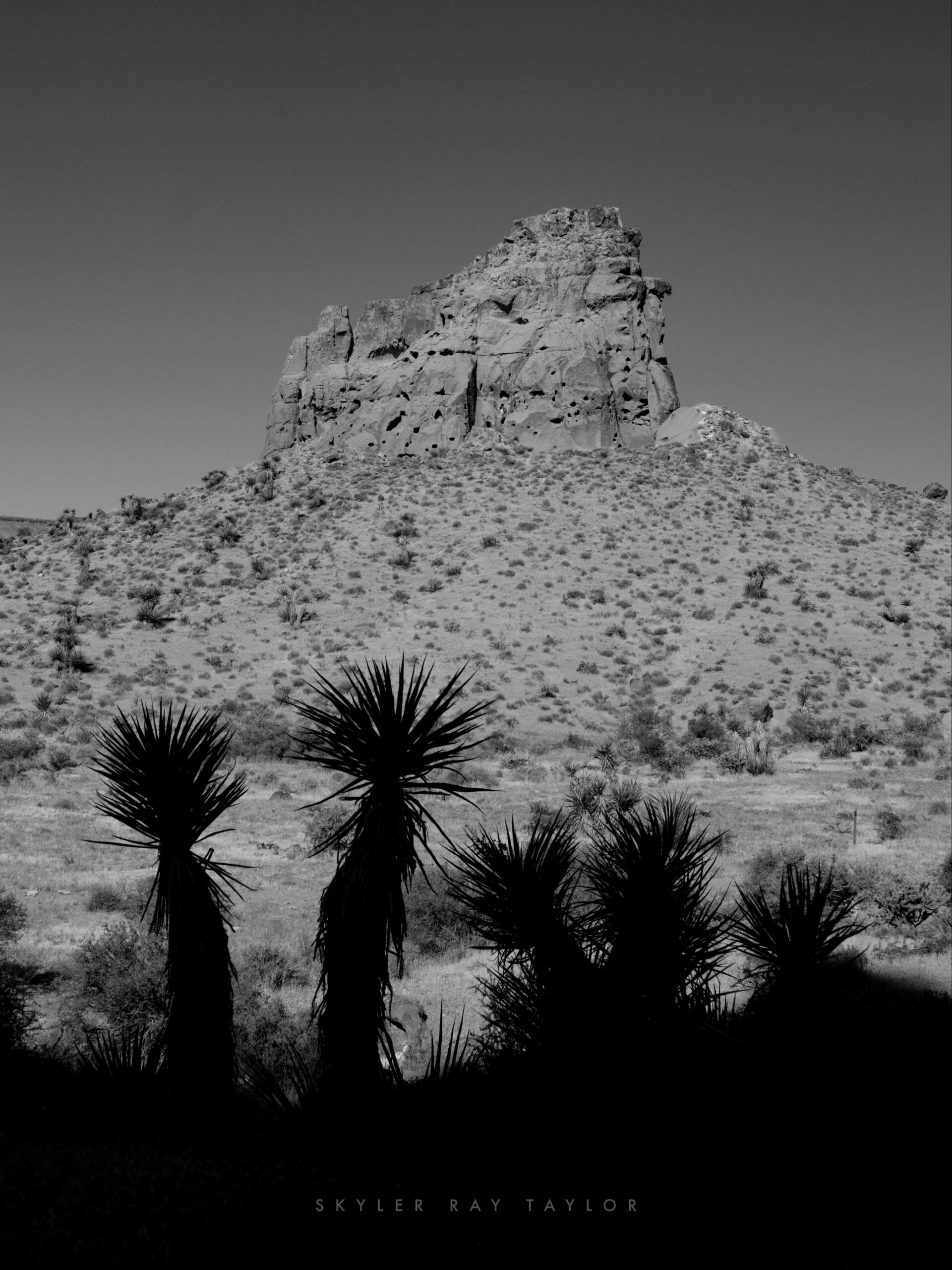Mojave National Preserve