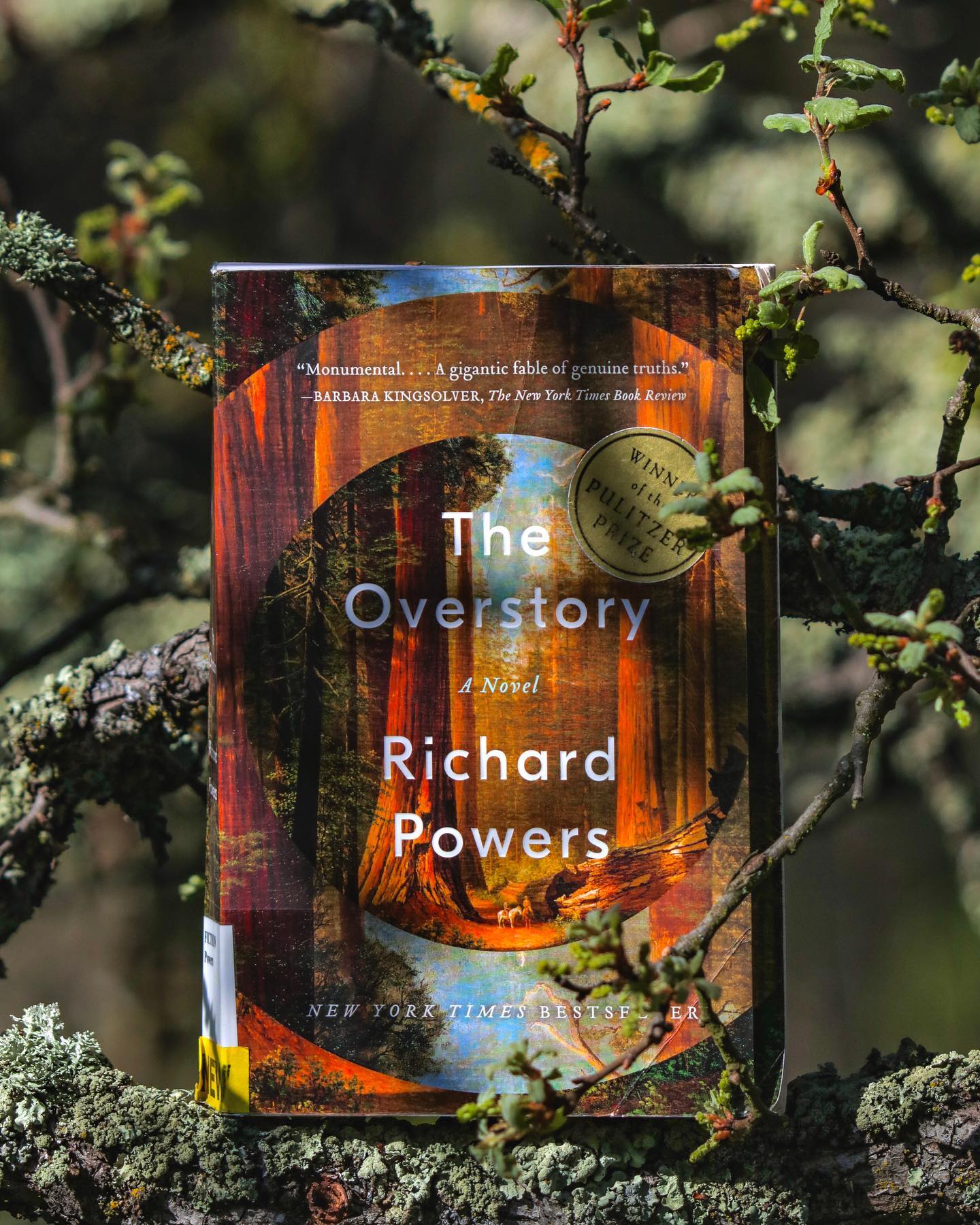 The Overstory