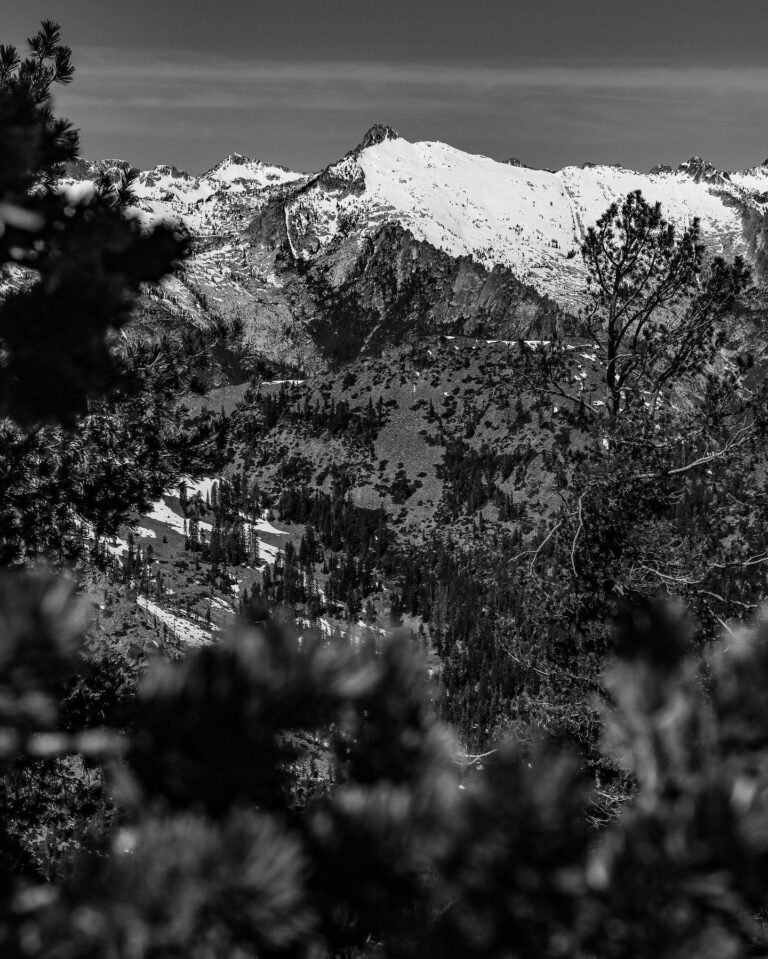 The North Country