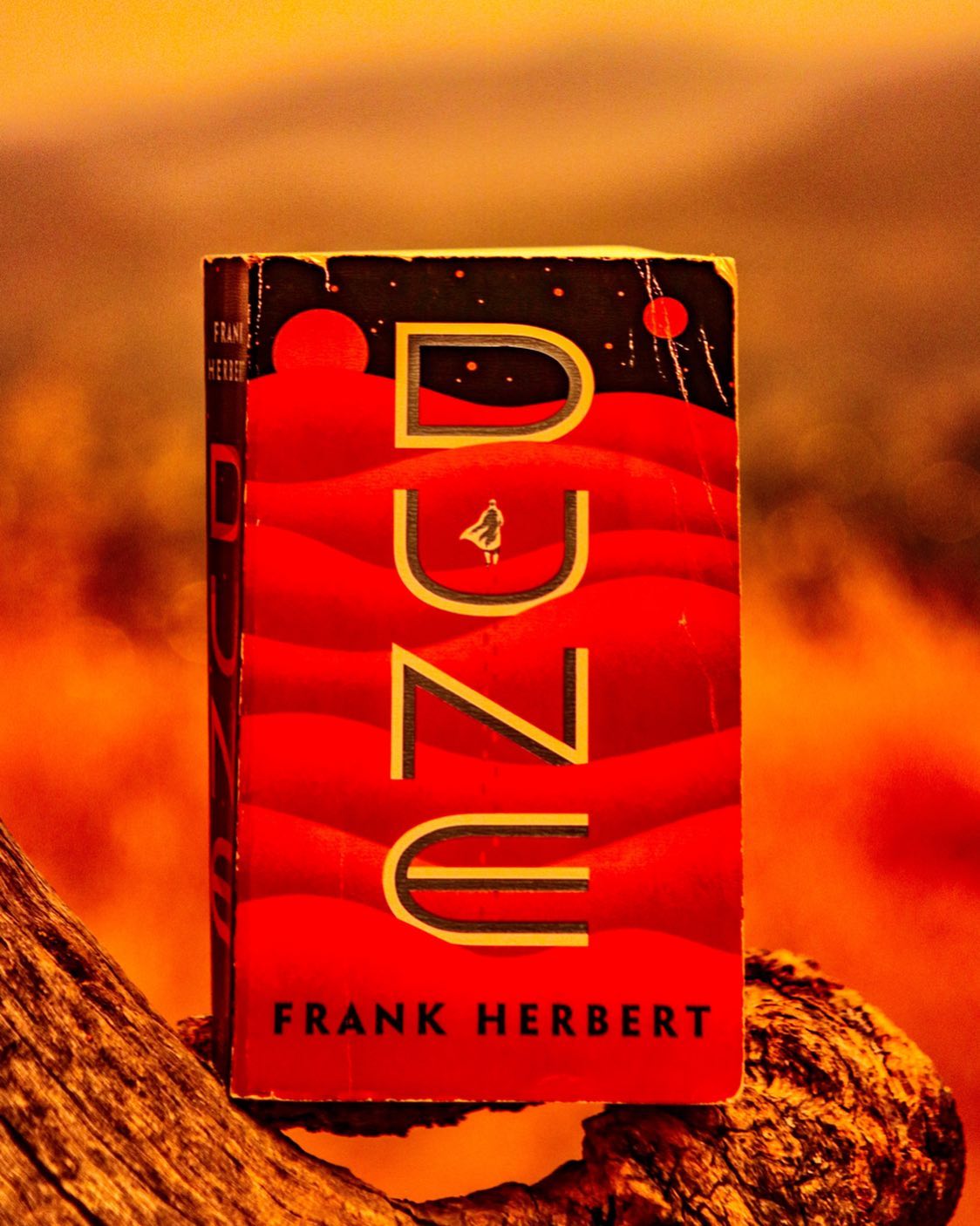 Dune