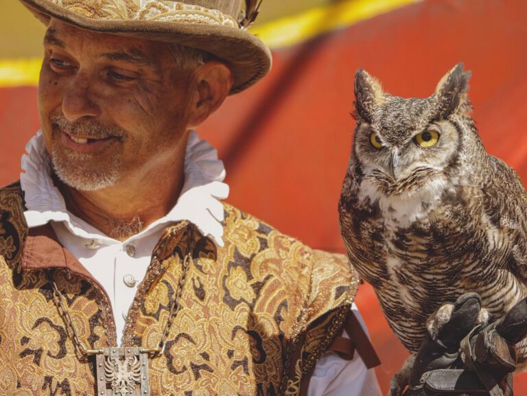 The birds of Renaissance Faire