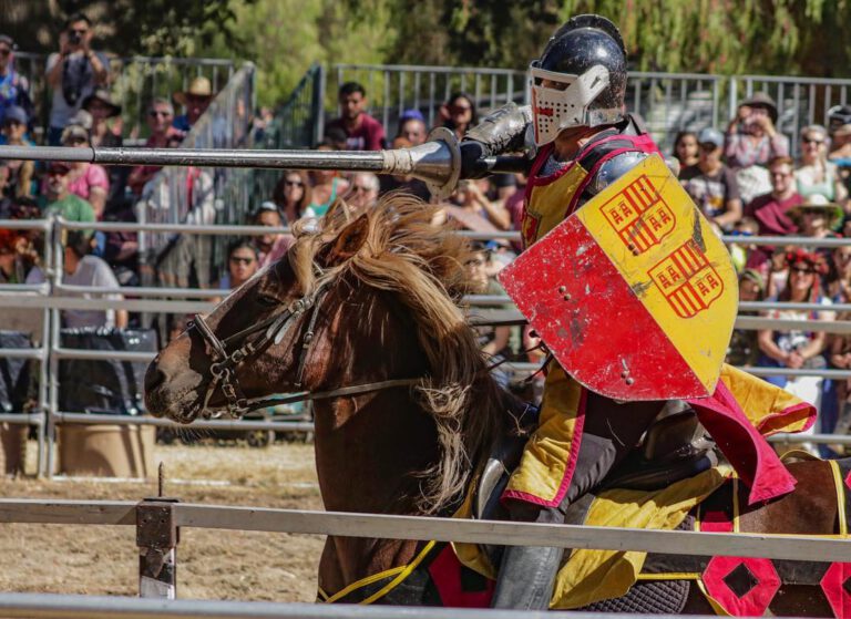 The Renaissance Faire Joust