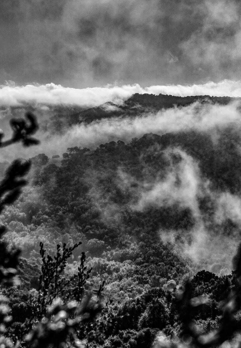 Weather is happening