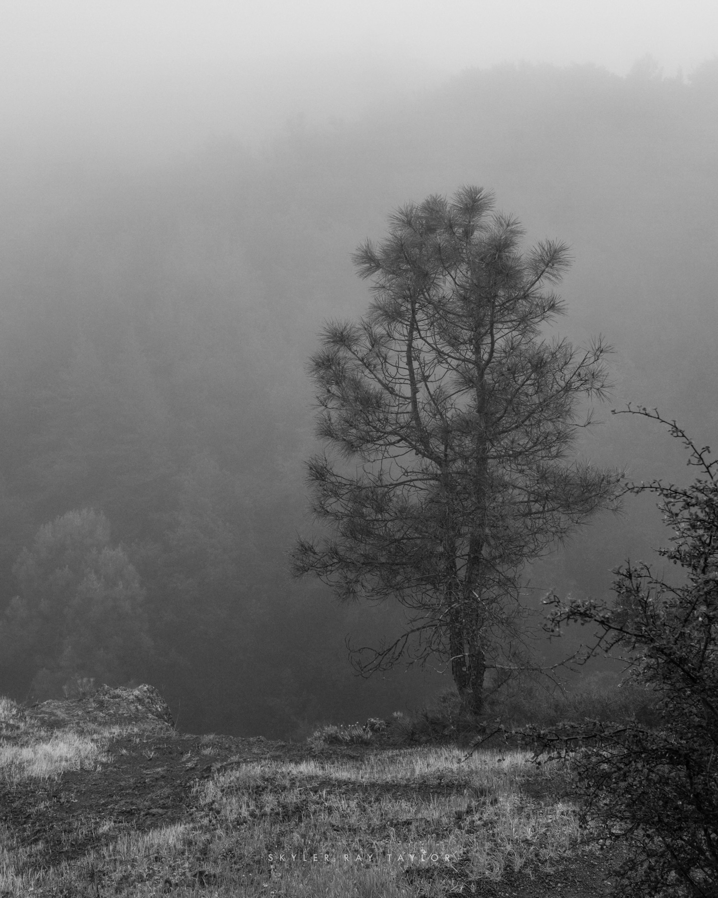 Mount Umunhum in the Fog
