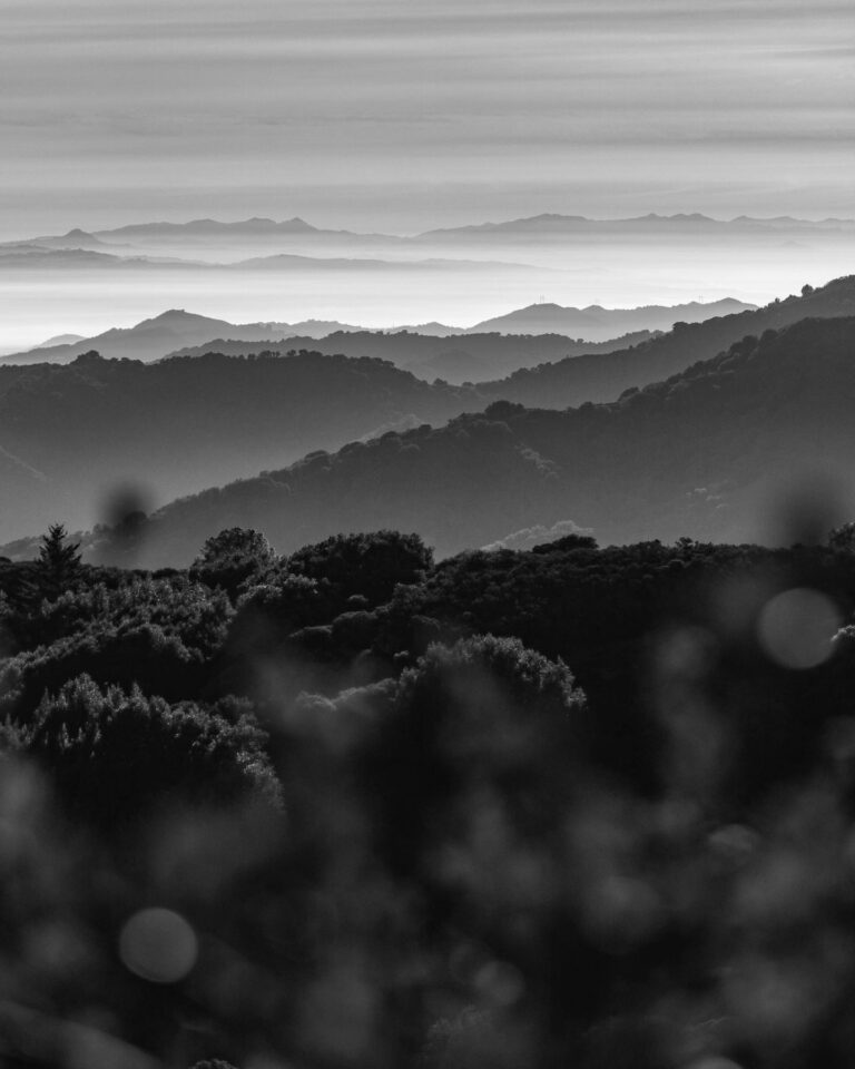 Hummingbird Mountain