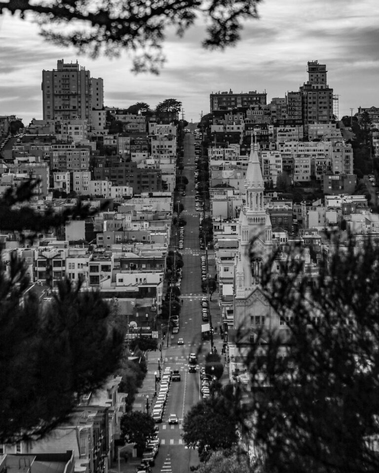The View from Telegraph Hill