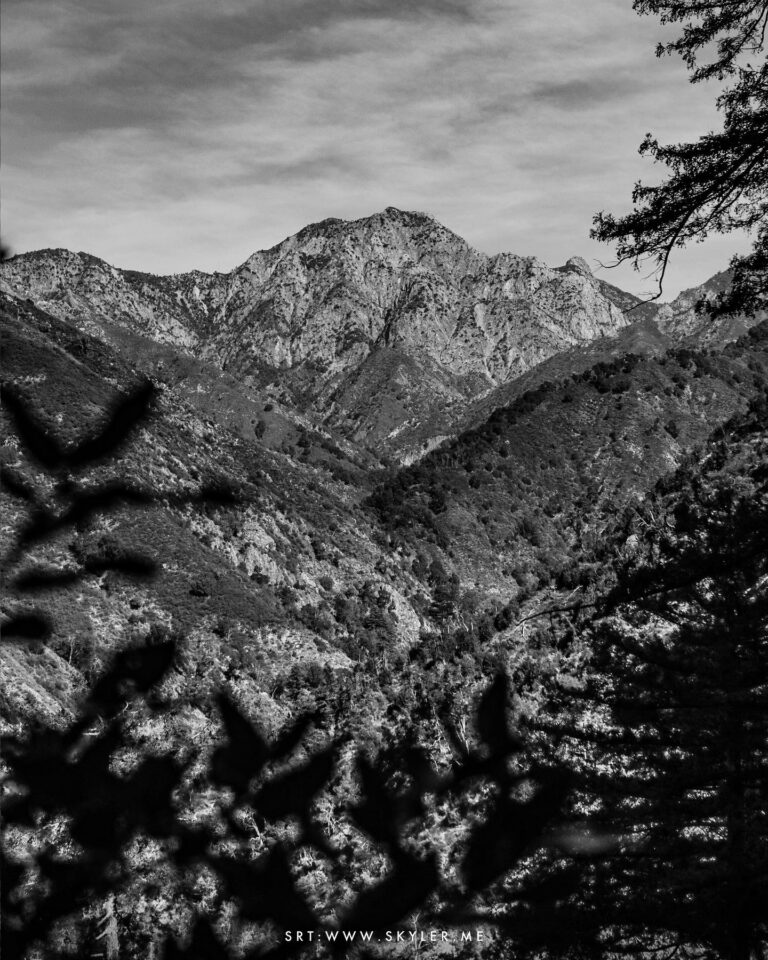 Eyes to the mountains, backs to the sea