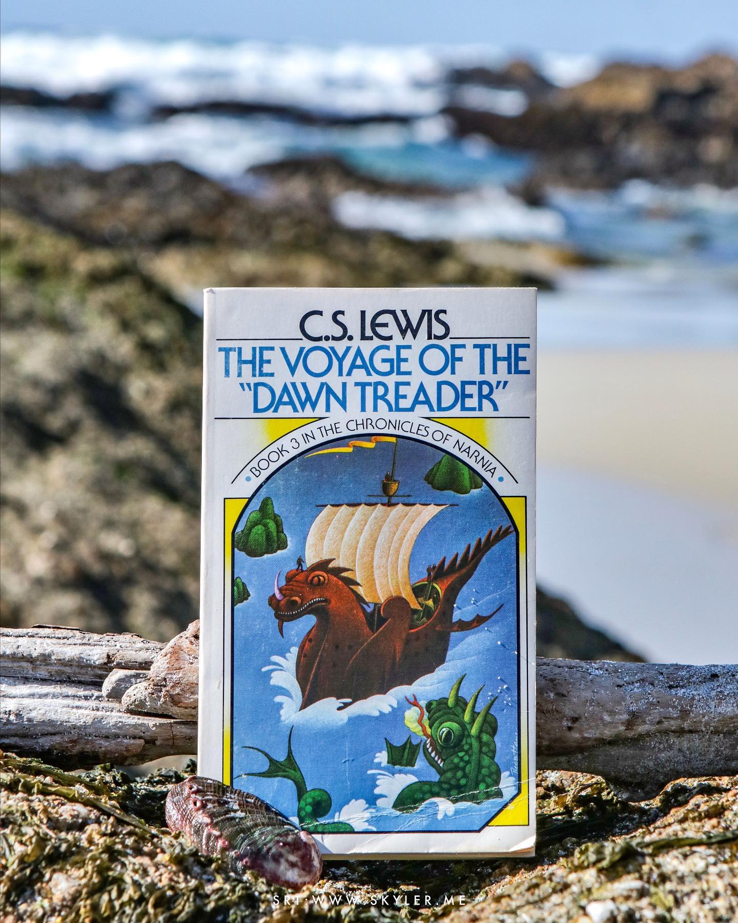 The Voyage of the Dawn Treader