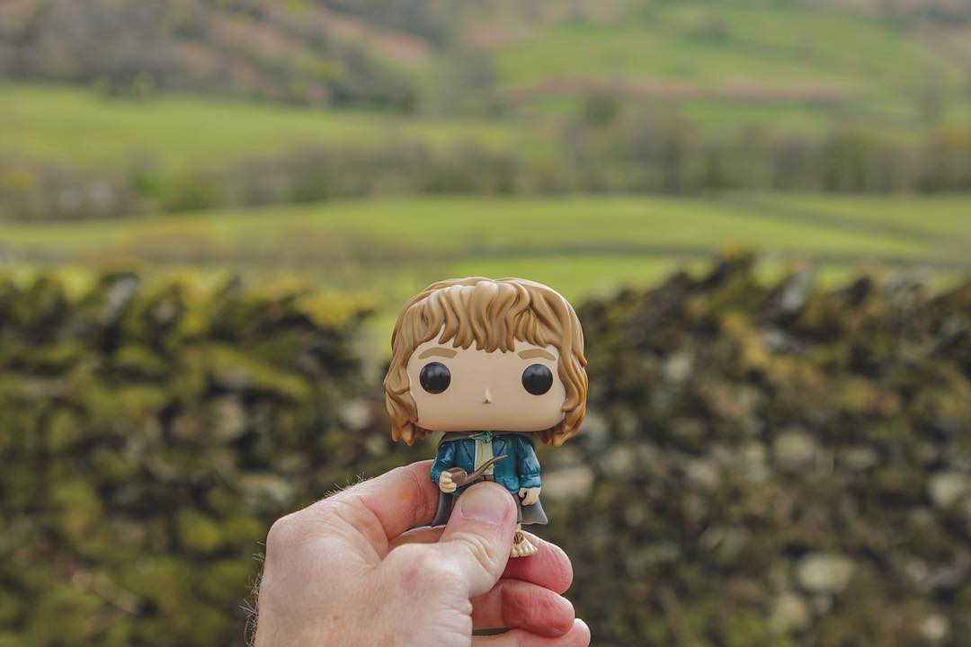 In which we stopped along the sheep pasture…