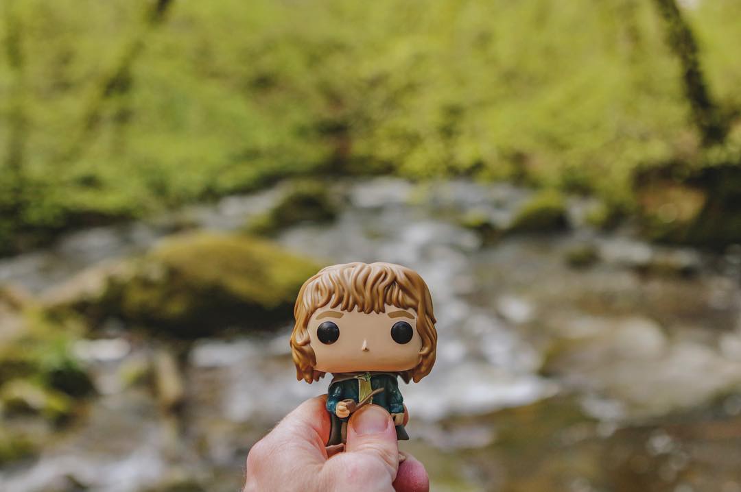 Green forests and silk waterfalls
