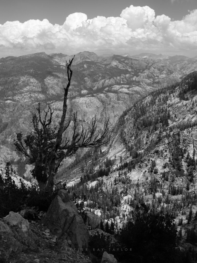 Tioga Road through Yosemite