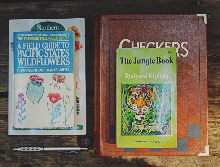 The Jungle Book