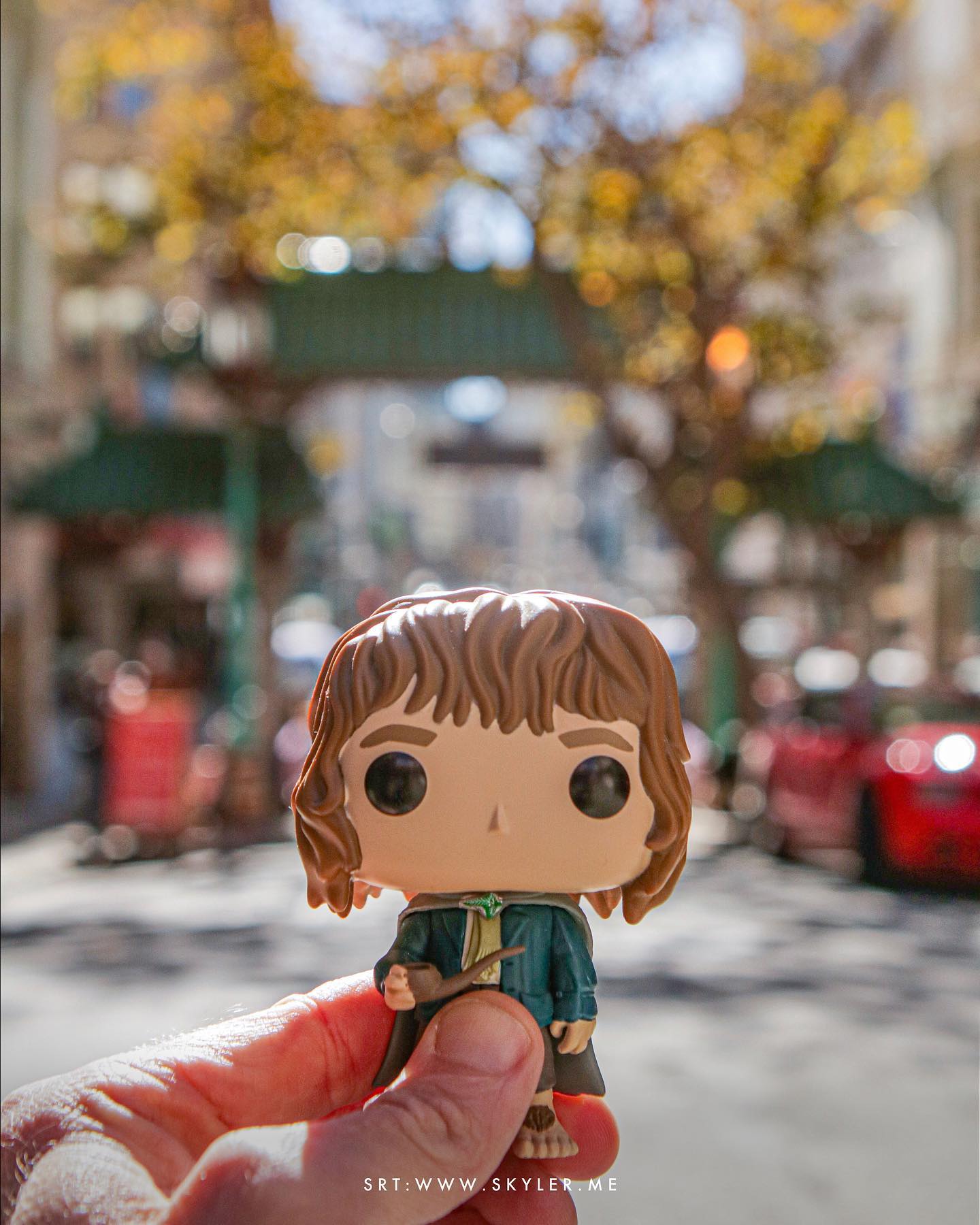 In which Pippin is thrilled to be traveling…