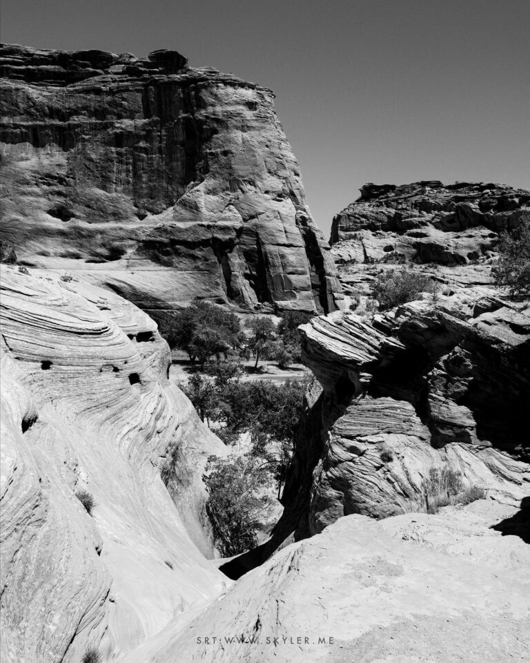 Canyon de Chelly and Canyon del Muerto