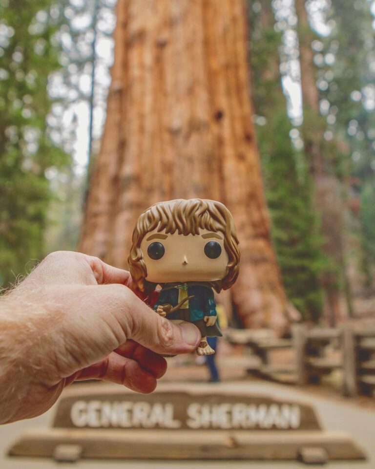 In which Pippin tells the largest tree in…