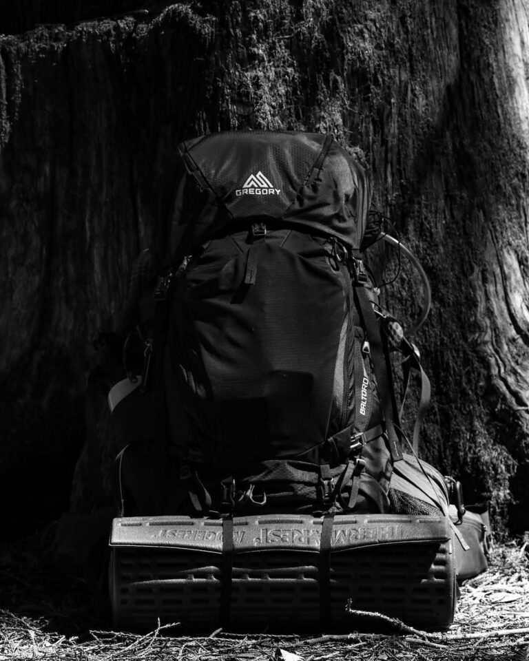 A weekend in the woods