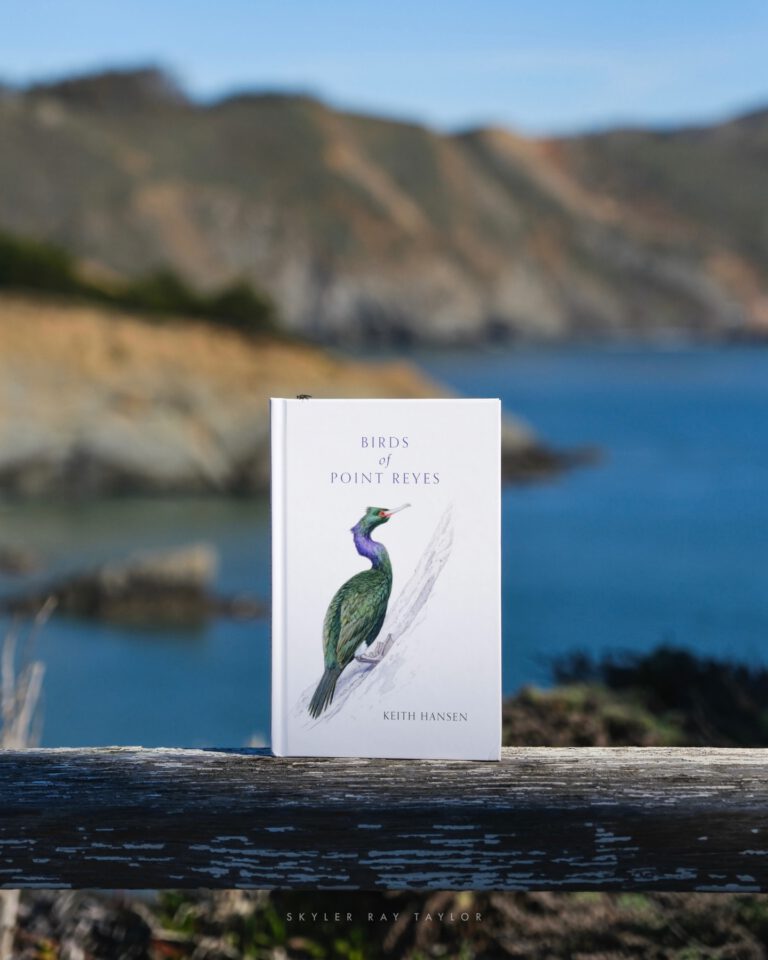 Birds of Point Reyes