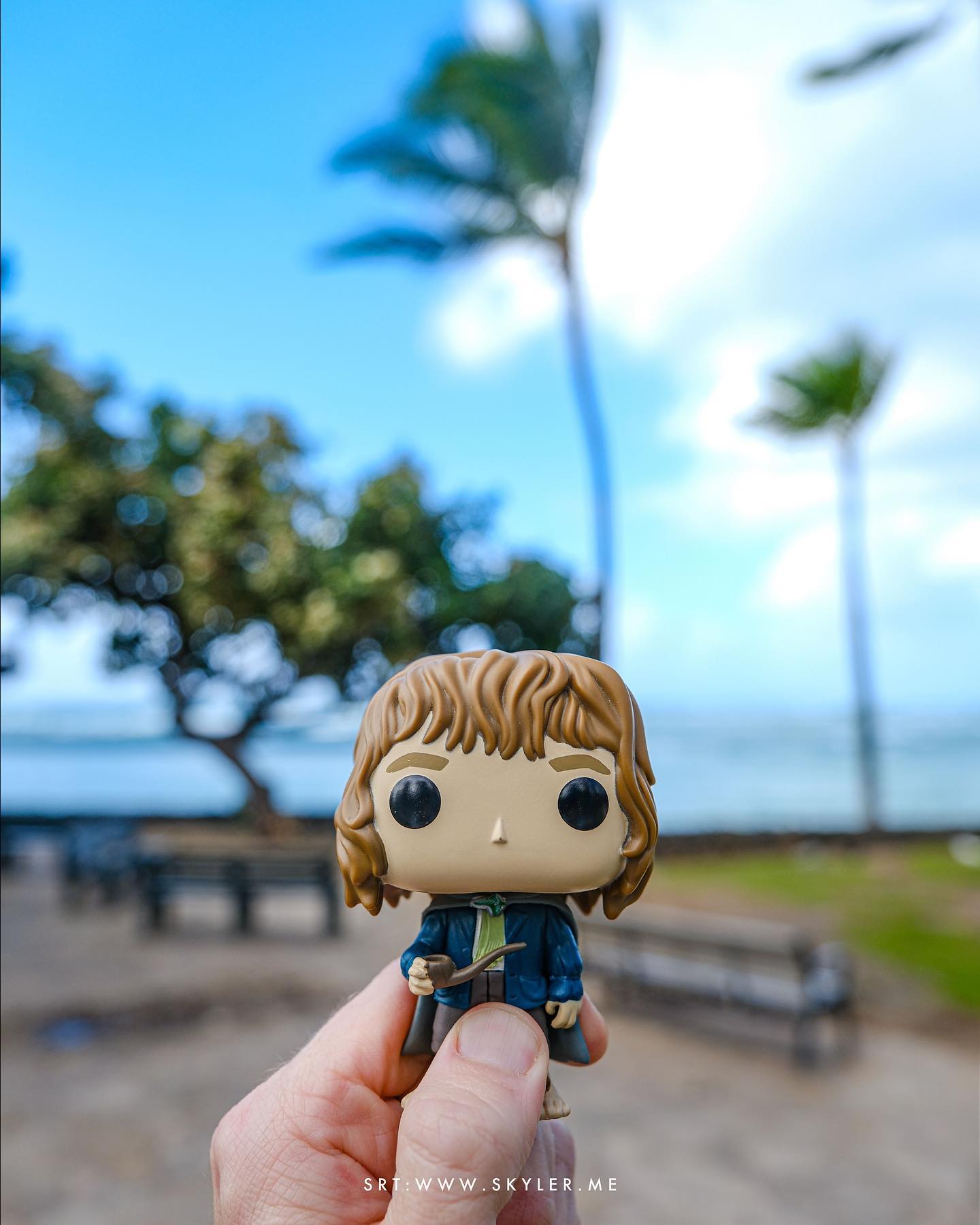 In which Peregrine Took remarks that Hawai’i is…