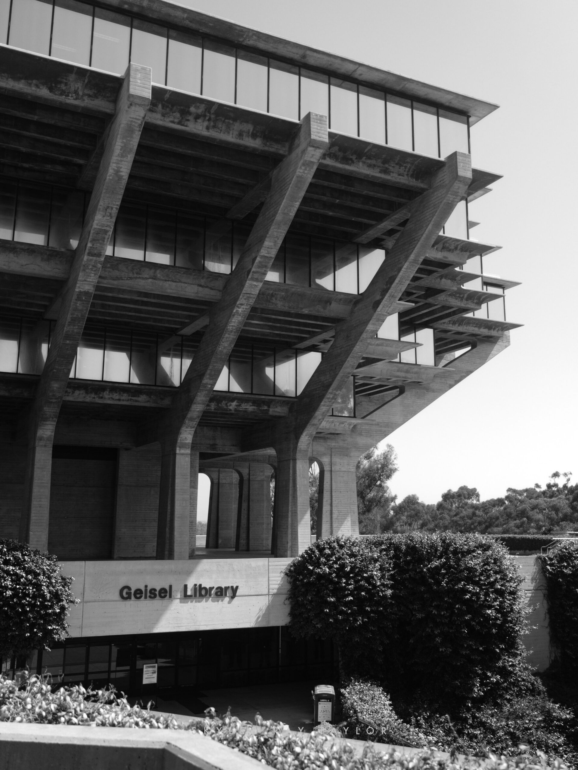 The Geisel Library