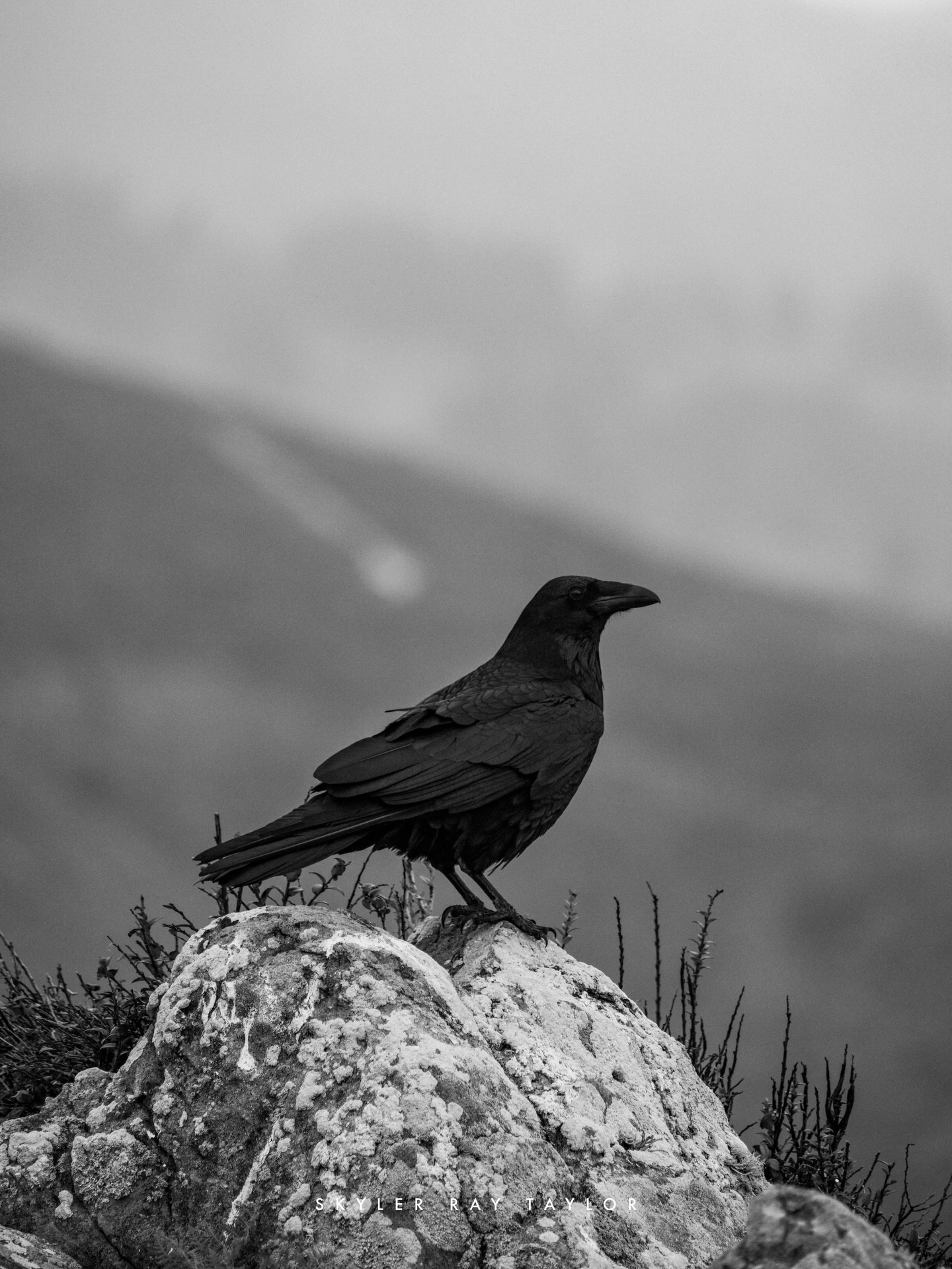 Up Montara Mountain